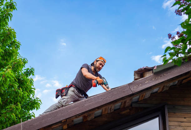 Best Wood Shake Roofing  in Dayton, MN